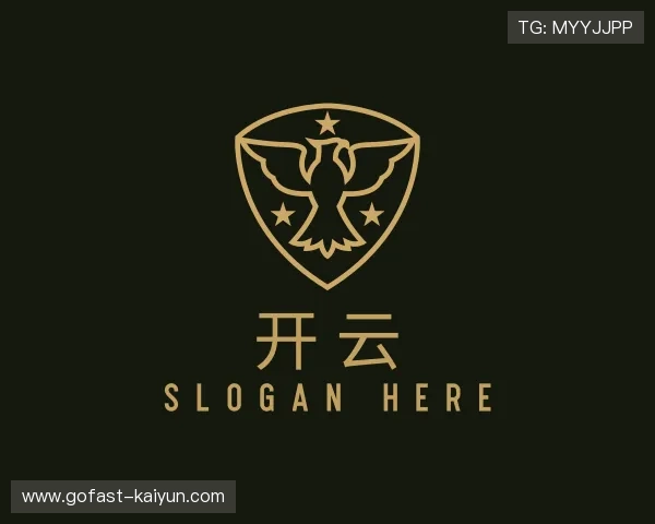 发现开云团队